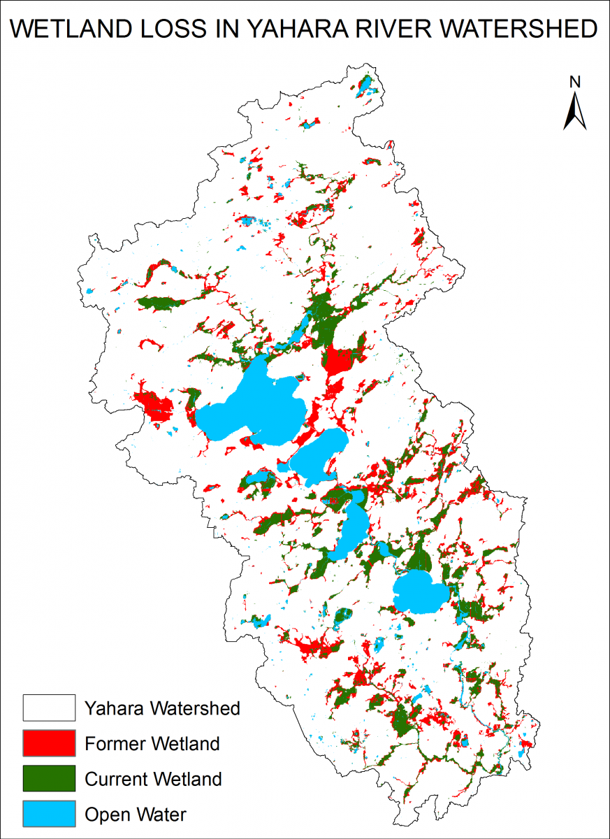 Wetlands Loss in Yahara River Watershed